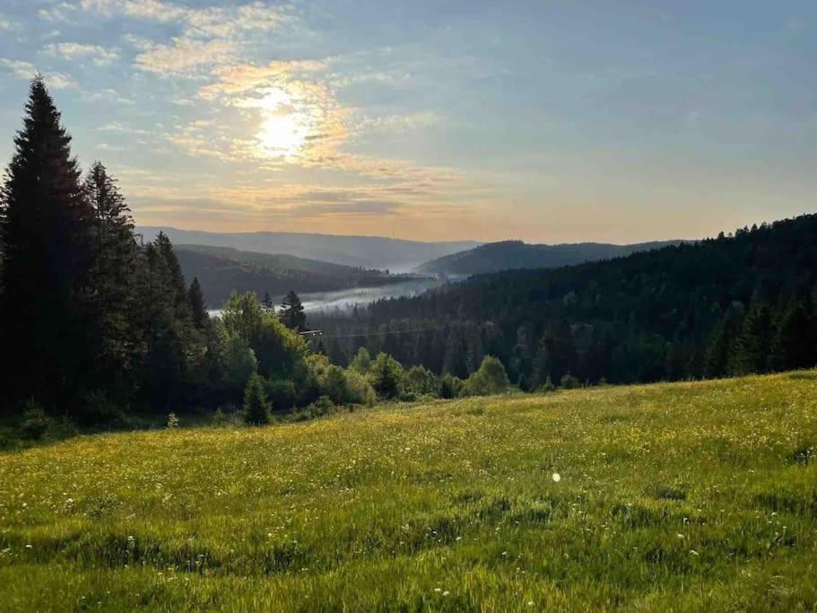Helle Gemuetliche Ferienwohnung In Schwarzwaldhof Ibach Esterno foto