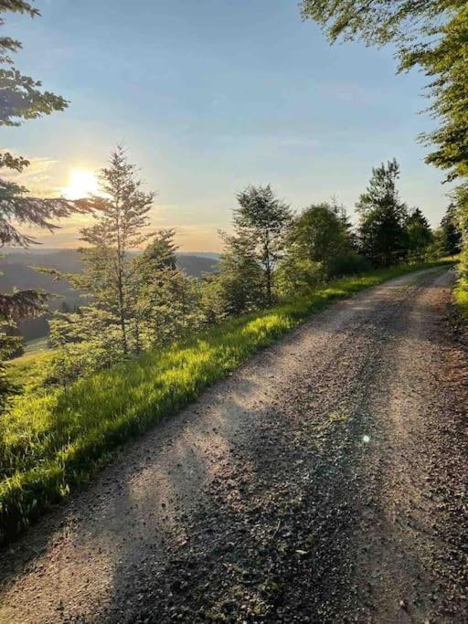 Helle Gemuetliche Ferienwohnung In Schwarzwaldhof Ibach Esterno foto