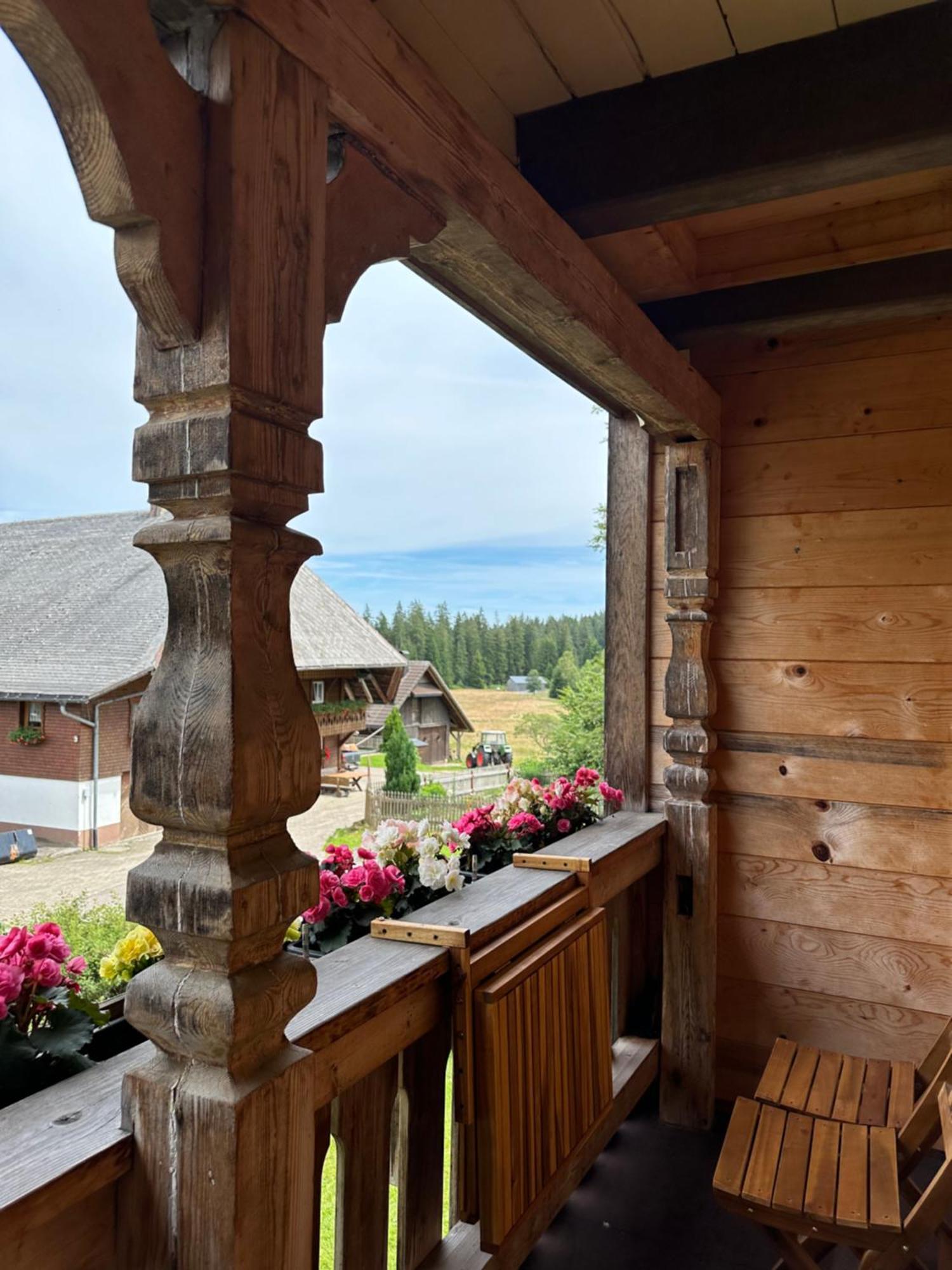 Helle Gemuetliche Ferienwohnung In Schwarzwaldhof Ibach Esterno foto