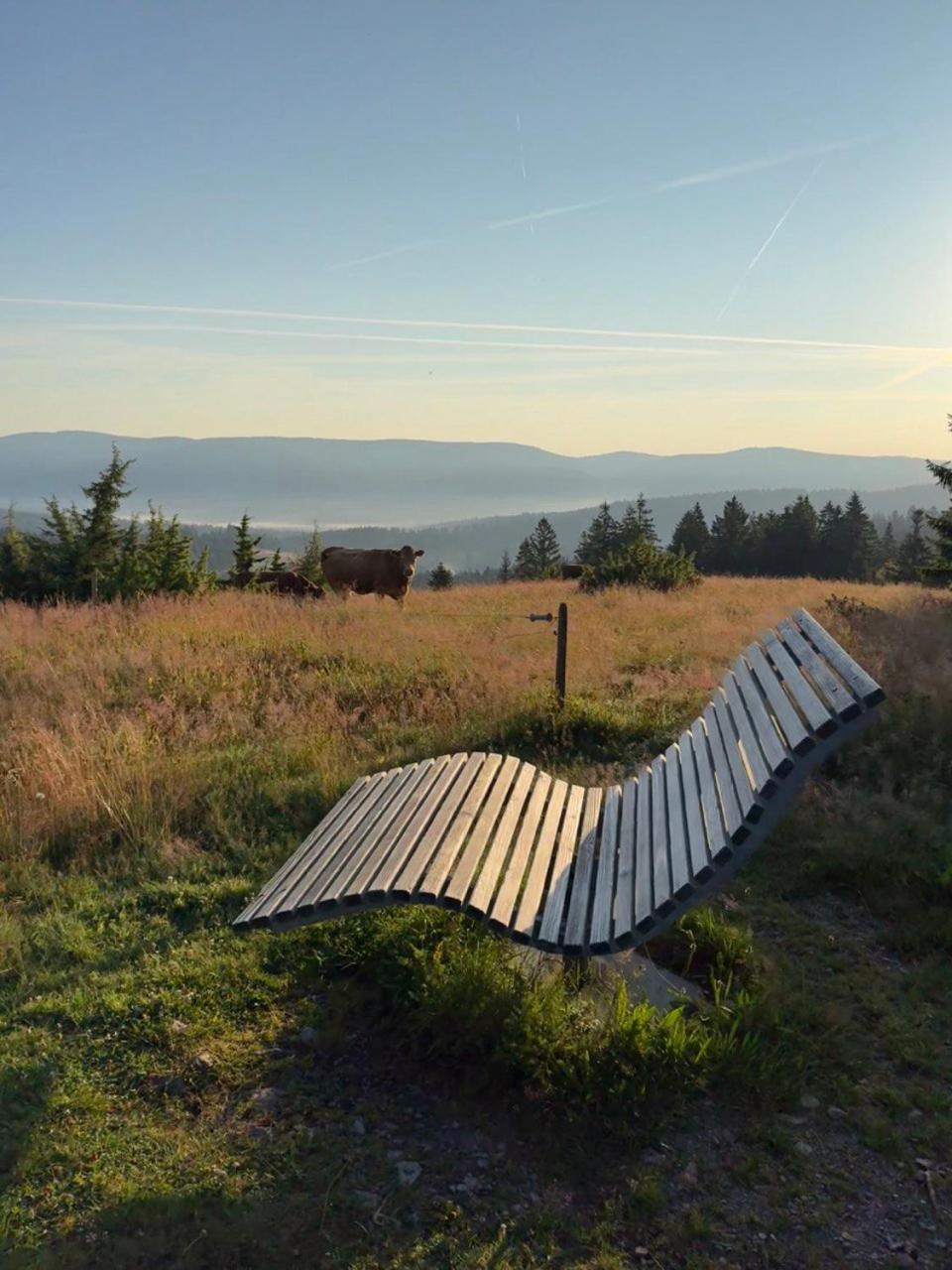 Helle Gemuetliche Ferienwohnung In Schwarzwaldhof Ibach Esterno foto